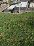 image of grave number 499782